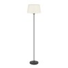 Eglo lights FEBRES floor lamp black