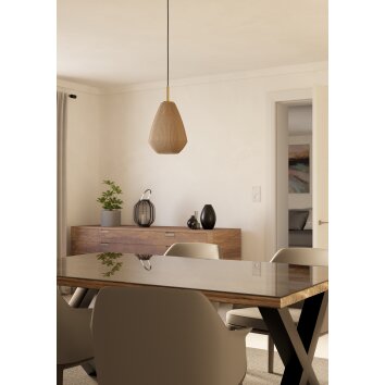 Eglo lights CAPRAROLA hanging light brass