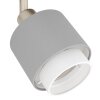 Eglo lights BELLIZZI ceiling light, ceiling spotlight matt nickel