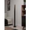 Eglo lights BARBOTTO floor lamp LED brown, black