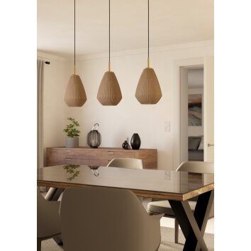 Eglo lights CAPRAROLA hanging light brass