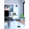 Eglo lights CARLO floor lamp black