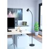 Eglo lights CARLO floor lamp black