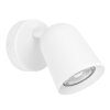 Eglo lights CAMALDOLI ceiling spotlight, wall light white