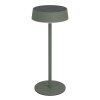 Eglo lights SIMERI table lamp LED green, Remote control