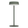Eglo lights SIMERI table lamp LED green, Remote control