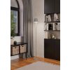 Eglo lights MANNERA-L floor lamp LED grey, Remote control, Colour changer