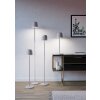 Eglo lights MANNERA-L floor lamp LED grey, Remote control, Colour changer
