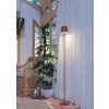 Eglo lights MANNERA-L floor lamp LED rust-coloured, Remote control, Colour changer