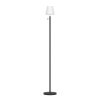 Eglo lights MONTAPALMA-L floor lamp LED black, Remote control, Colour changer