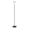 Eglo lights SCORDIANO-L floor lamp LED black, Colour changer