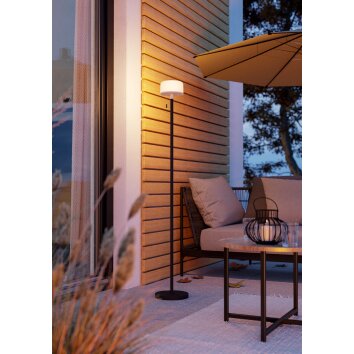 Eglo lights MONTAPALMA-L floor lamp LED black, Remote control, Colour changer