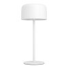 Eglo lights ROCCANOVA table lamp LED white