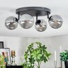 Chehalis ceiling light, globe light Smoke-coloured, 4-light sources