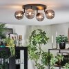 Chehalis ceiling light, globe light Smoke-coloured, 4-light sources