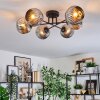 Ripoll ceiling light, globe light chrome, Smoke-coloured, 6-light sources