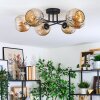 Ripoll ceiling light, globe light Amber, 6-light sources