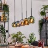 Ripoll hanging light, globe light, pendant light Ecru, black, 5-light sources