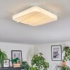 Feron ceiling light LED white, 1-light source