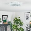 Feron ceiling light LED white, 1-light source