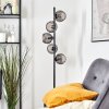 Koyoto globe light, floor lamp Smoke-coloured, 5-light sources
