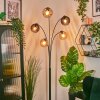 Koyoto globe light, floor lamp Amber, Smoke-coloured, 5-light sources