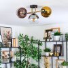 Koyoto ceiling light, globe light gold, black, 3-light sources