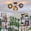 Koyoto ceiling light, globe light gold, black, 3-light sources