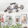Koyoto ceiling light, globe light chrome, clear, Smoke-coloured, 8-light sources
