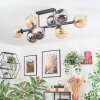 Koyoto ceiling light, globe light Amber, chrome, Smoke-coloured, 8-light sources