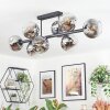 Ripoll ceiling light, globe light chrome, clear, Smoke-coloured, 8-light sources