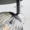 Chehalis ceiling light, globe light Amber, Smoke-coloured, 4-light sources