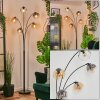 Ripoll globe light, floor lamp Amber, clear, Smoke-coloured, 5-light sources