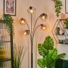 Ripoll globe light, floor lamp Amber, clear, Smoke-coloured, 5-light sources