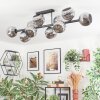 Ripoll ceiling light, globe light chrome, Smoke-coloured, 10-light sources