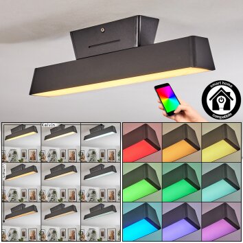 Tarin ceiling light LED black, 1-light source, Colour changer