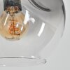 Ripoll globe light, floor lamp Amber, clear, Smoke-coloured, 5-light sources