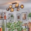 Ripoll ceiling light, globe light chrome, clear, Smoke-coloured, 8-light sources