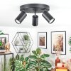 Foren ceiling light, ceiling spotlight LED black, 3-light sources, Colour changer