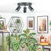 Foren ceiling light, ceiling spotlight LED black, 3-light sources, Colour changer