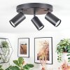 Foren ceiling light, ceiling spotlight LED black, 3-light sources, Colour changer