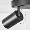 Foren ceiling light, ceiling spotlight LED black, 3-light sources, Colour changer