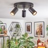 Foren ceiling light, ceiling spotlight LED black, 3-light sources, Colour changer
