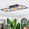 Moral ceiling light brass, black, 3-light sources
