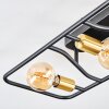 Moral ceiling light brass, black, 3-light sources