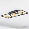 Moral ceiling light brass, black, 3-light sources
