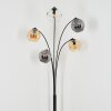 Ripoll globe light, floor lamp Amber, clear, Smoke-coloured, 5-light sources