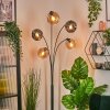 Ripoll globe light, floor lamp Amber, Smoke-coloured, 5-light sources