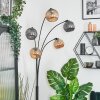 Ripoll globe light, floor lamp Amber, Smoke-coloured, 5-light sources