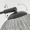 Ripoll globe light, floor lamp Amber, Smoke-coloured, 5-light sources